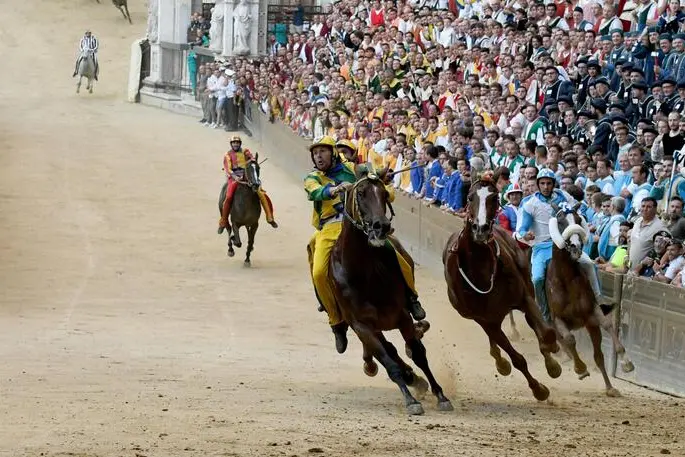 Palio di Siena (foto Ansa)