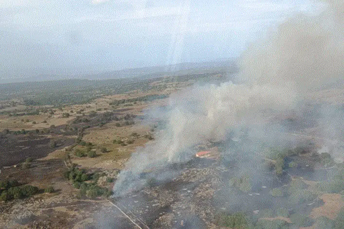L'incendio a Silanus (foto Corpo Forestale)