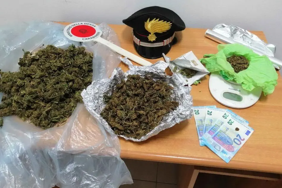 La marijuana sequestrata (foto carabinieri)