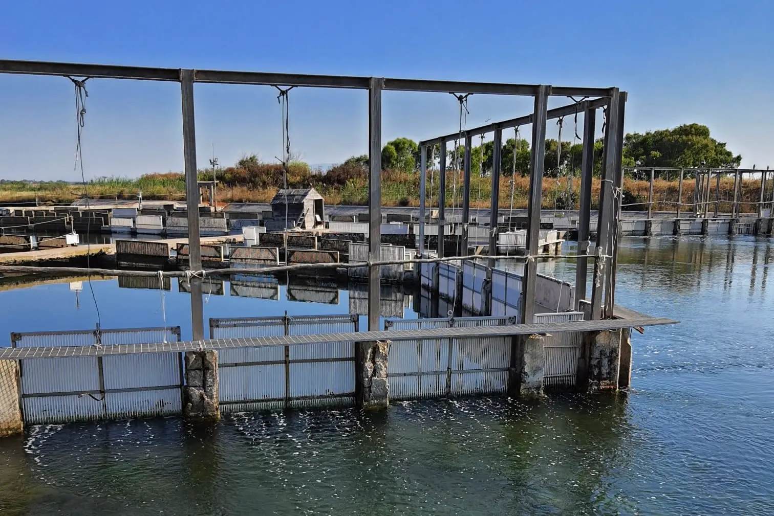 La peschiera (Foto Pinna)