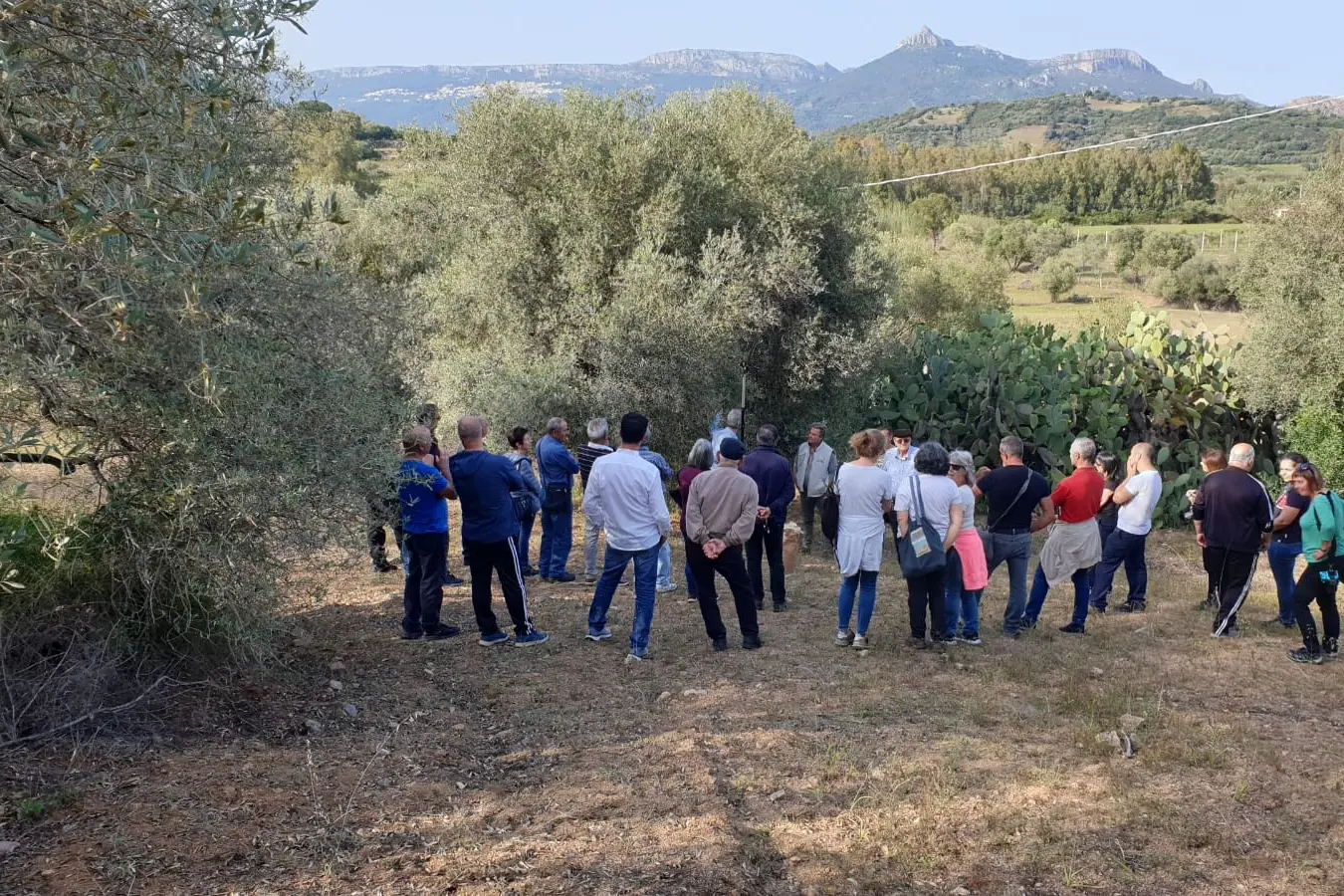 La prima giornata di Merenda nell'Oliveta a Lotzorai
