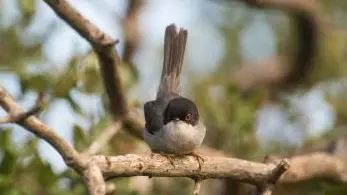 https://immagini.unionesarda.it/version/c:NTU4OTg5OTQtMzYwZC00:OWU2NTg1YWMtZWM3NC00/image.webp?f=16:9