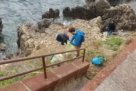 I ragazzi al lavoro (foto L'Unione Sarda - Fiori)