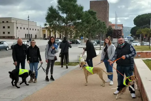 Il test Dog City a Carbonia (Foto Andrea Scano)
