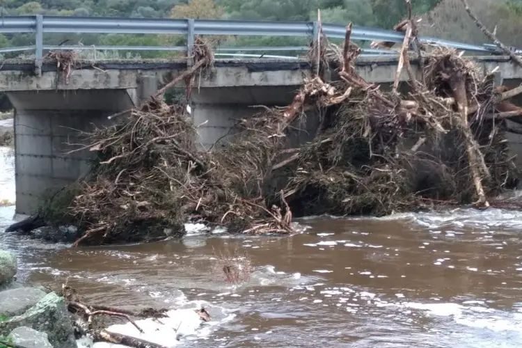 Il ponte Chessrzos sul fiume Tirso (foto concessa)