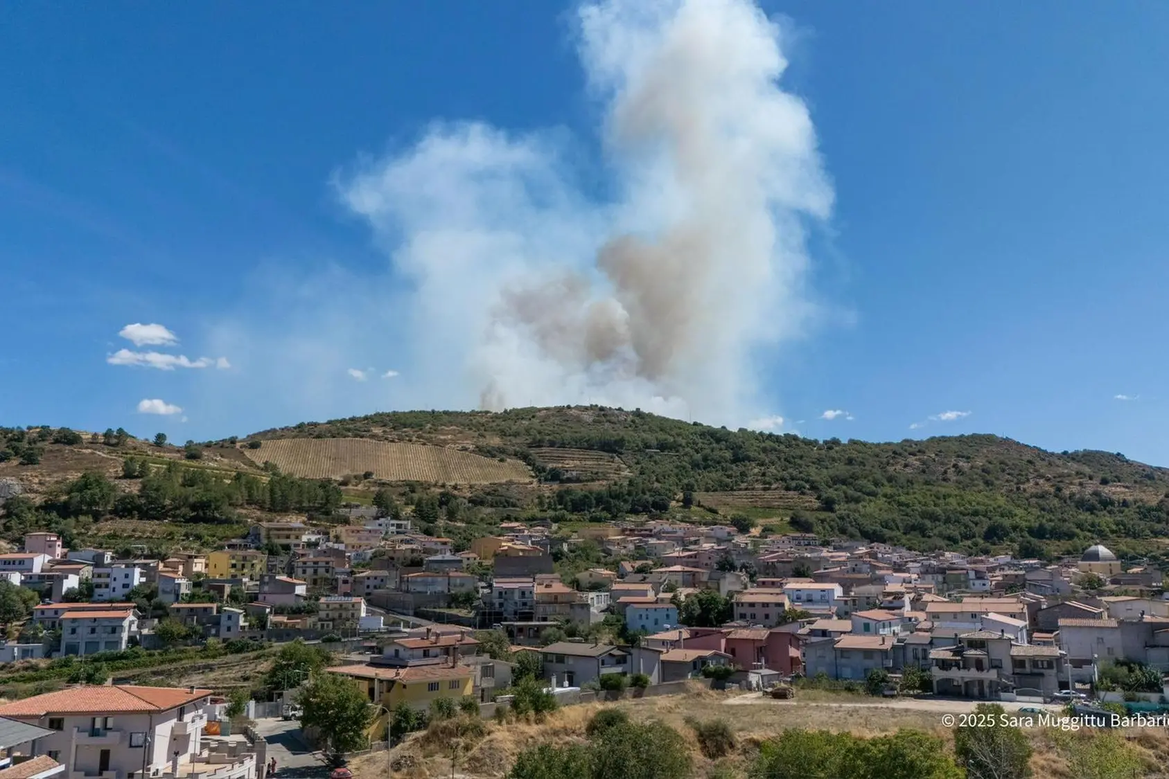 L'incendio a Mamoiada (Foto: Sara Muggittu)