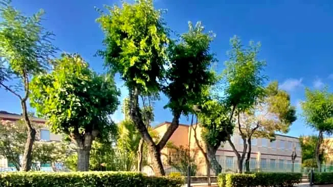 https://immagini.unionesarda.it/version/c:NTUzMzViMGMtOTYzNS00:ZmEzYTNlNjctMzhiNi00/image.webp?f=16:9