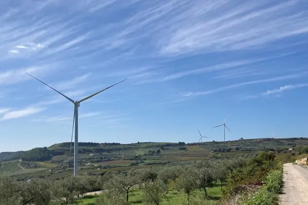 Un parco eolico (Ansa)