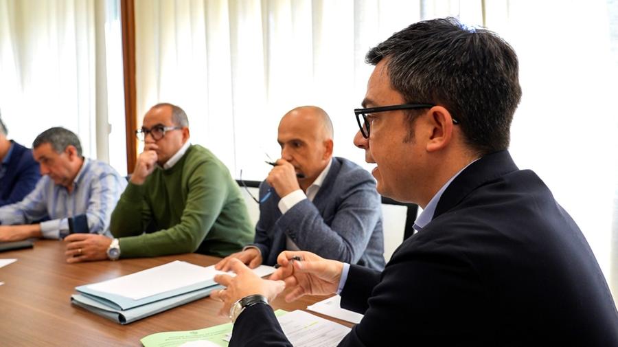 Dermatite bovina, Agus: «Attenzione massima, 13 milioni per le aziende colpite»