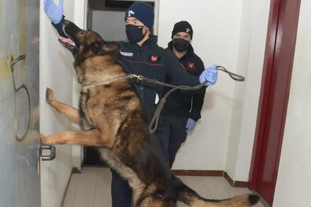 (Foto carabinieri)