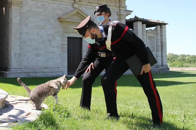 Prende il gatto a botte e lo sbatte contro i bidoni della spazzatura: 44enne denunciata a Monserrato (foto carabinieri)