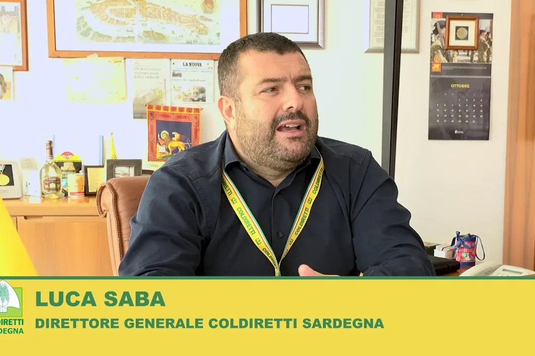 Luca Saba (Archivio)