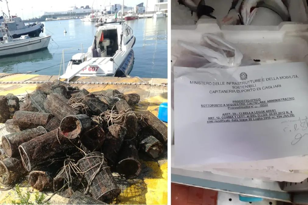 Le nasse e i gamberi sequestrati (Foto: Guardia costiera)
