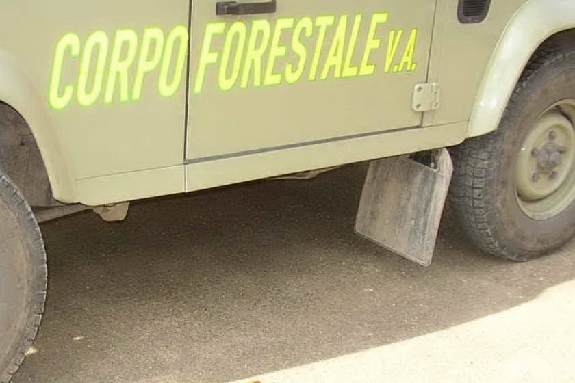 Corpo Forestale (Foto L'Unione Sarda)