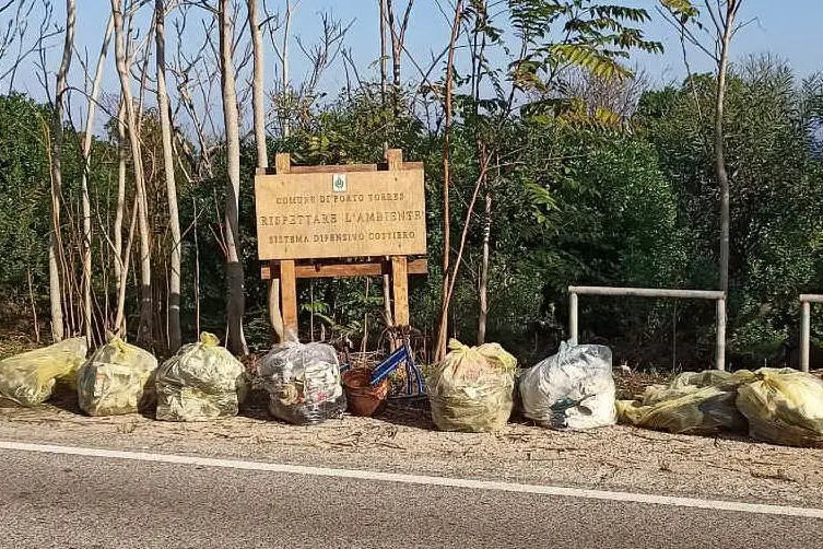 Rifiuti sulla strada (L'Unione Sarda - Pala)