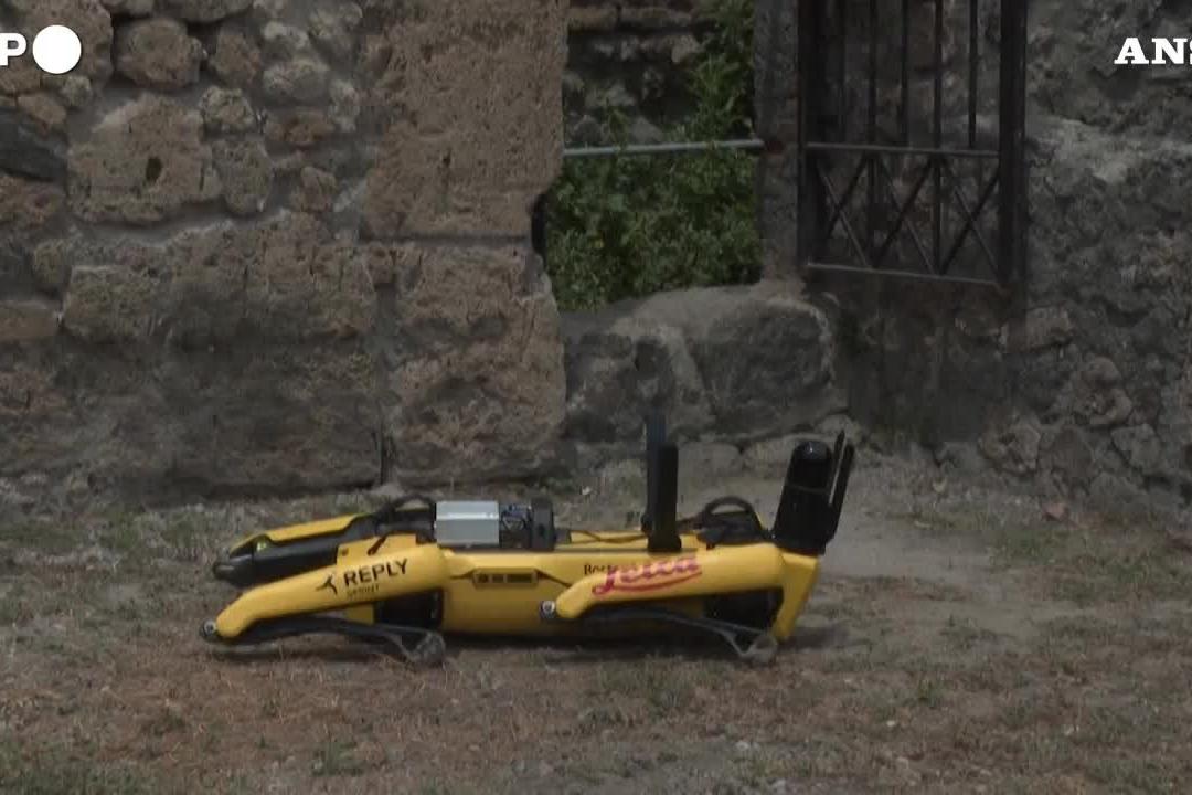 Pompei, ecco il cane robot che va a caccia di tesori archeologici