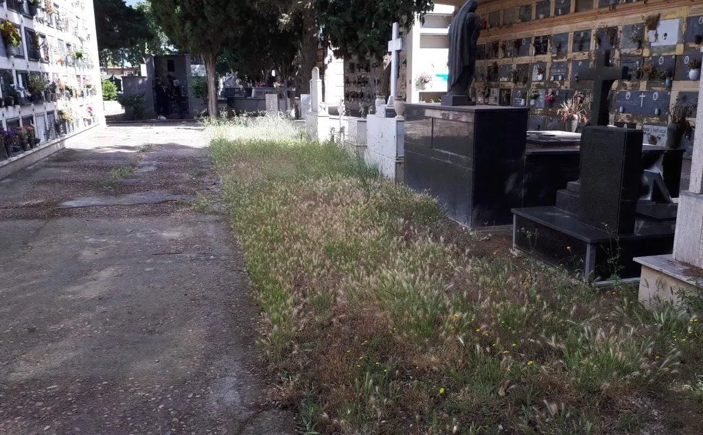 Un altro scatto