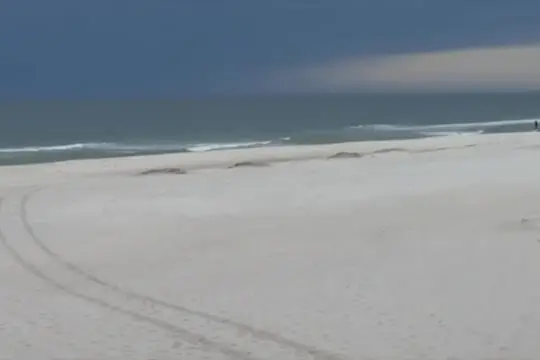 Usa, storie da Gulf State Park tra sentieri premiati e sostenibilità