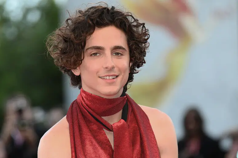 Thimothée Chalamet (foto Ansa)