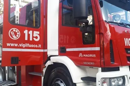 Vigili del Fuoco (foto Ansa)