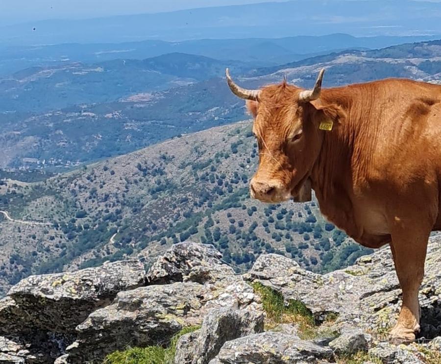 Escursione sul Montalbo con Cai e Coldiretti