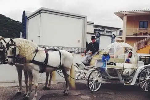 Matrimonio in carrozza a Siniscola (Foto 4D Photo Studio)