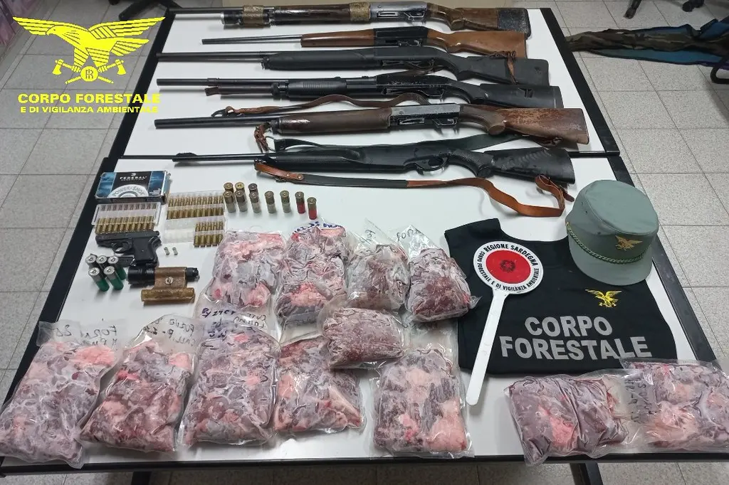 The seized material (Photo: Cfva)