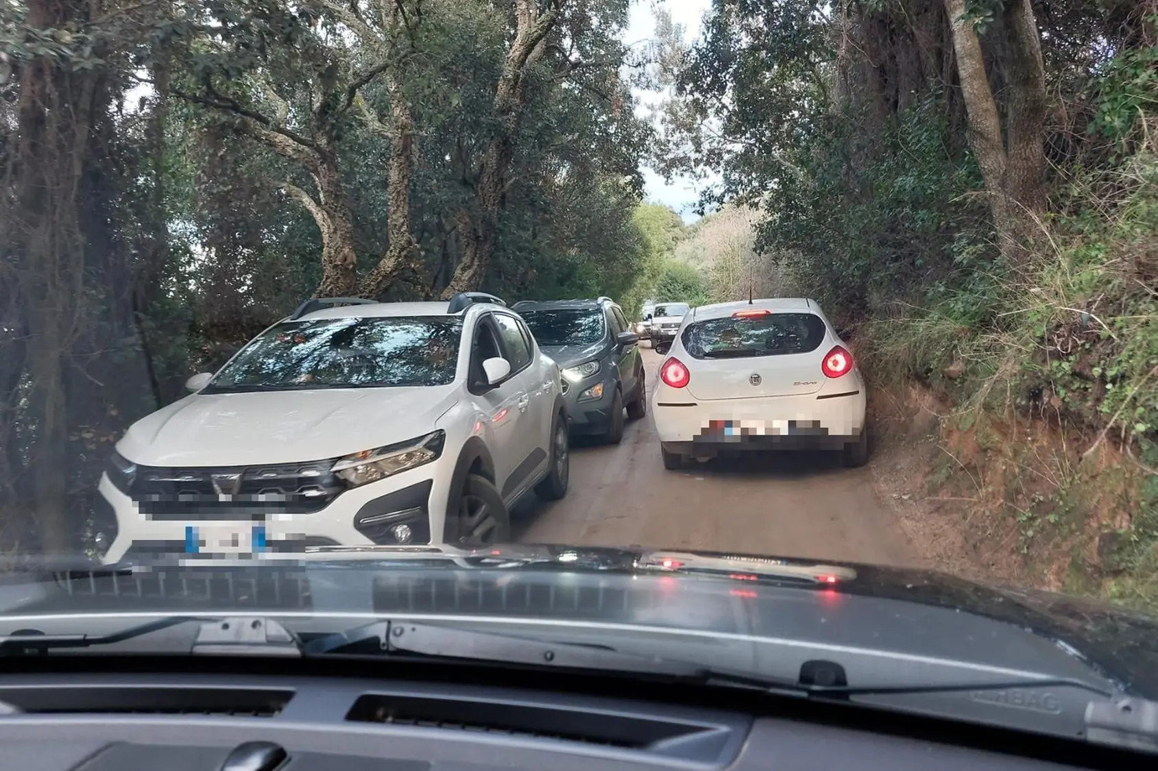 Traffico sulla strada per i monti di Gonnosfanadiga  (L'Unione Sarda)