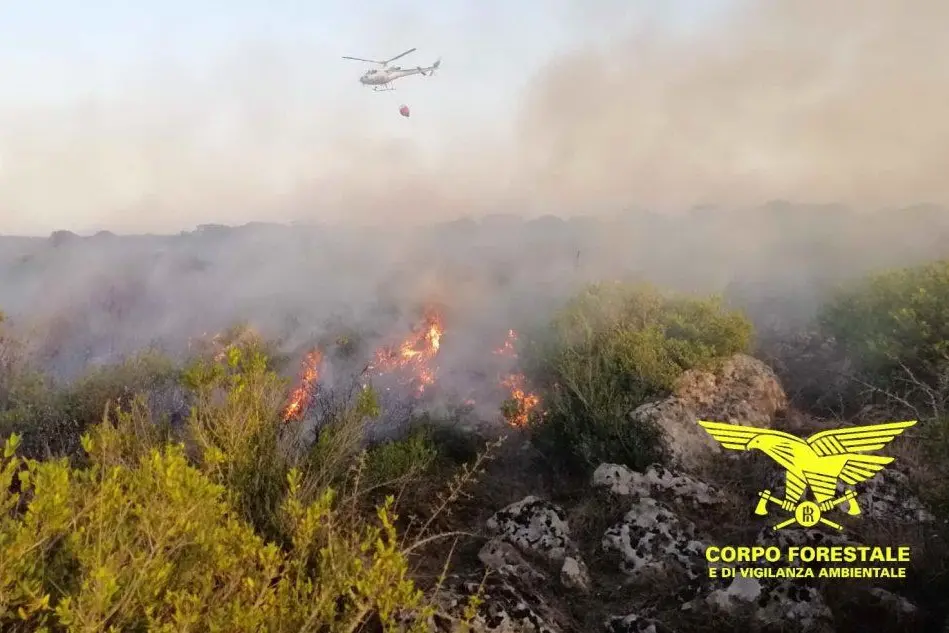 Un incendio in Sardegna (foto Corpo forestale)