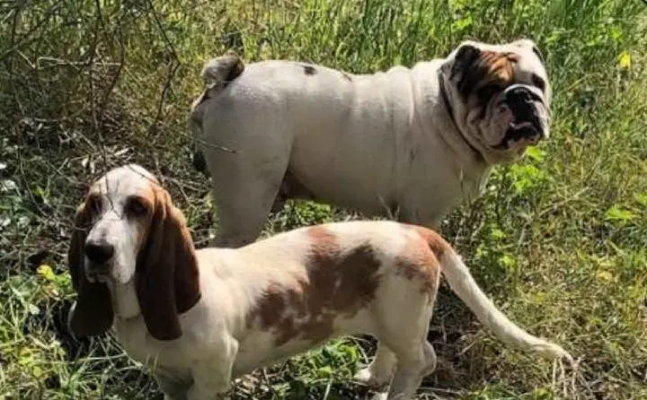 Cesare e Maggie. Da Patrizia, Dolianova