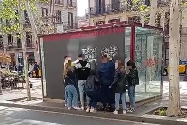 (照片提供)