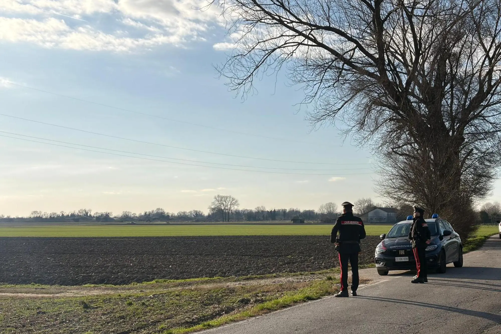 Carabinieri sul luogo dove è stato trovato il corpo di un giovane, dell'età apparente di 25-30 anni, in un campo a Mira, comune della provincia di Venezia (Ansa)