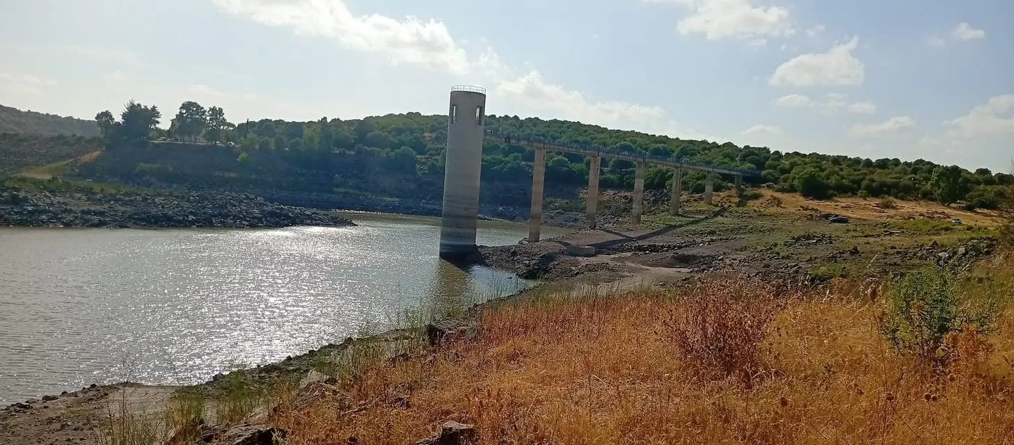 contentid/212778c9-5036-4489-9106-631a0e27e8c9