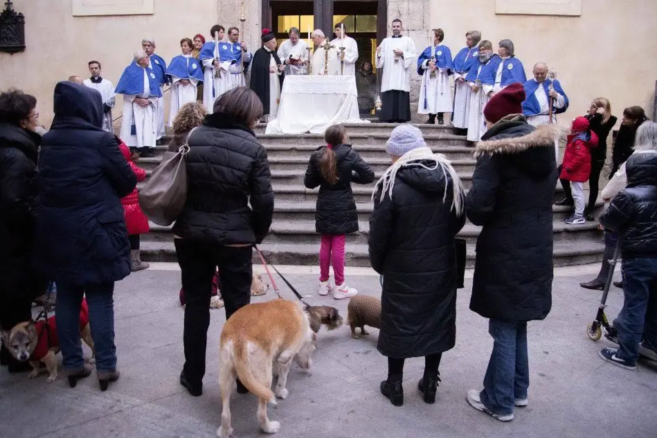 La benedizione degli animali in occasione della festa di Sant'Antonio (foto d'archivio)