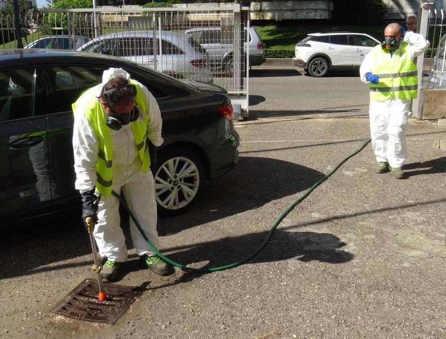 «West Nile, il piano funziona: ora la fase due»