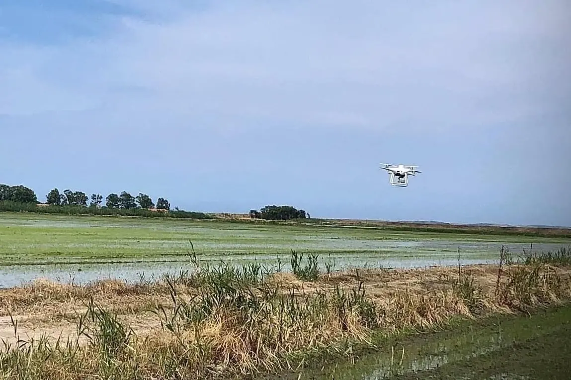 Il campo con il drone (foto concessa)