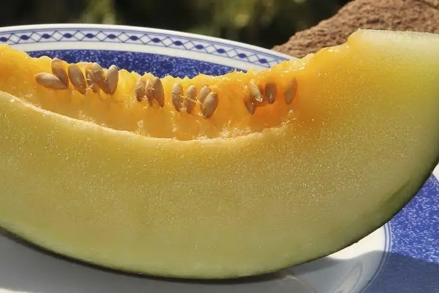 Un melone