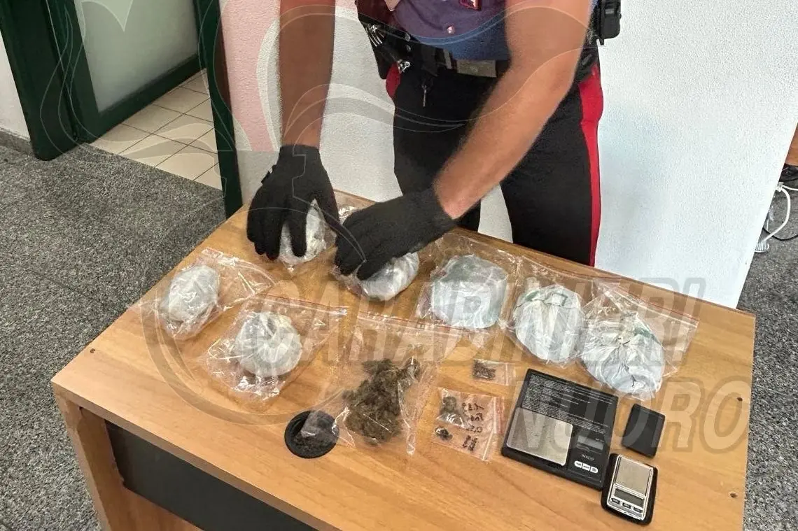 (foto Carabinieri)