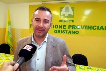 Dermatite bovina, Coldiretti: “Samugheo non può restare bloccata”