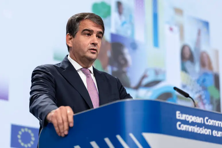 Raffaele Fitto (foto Ansa)