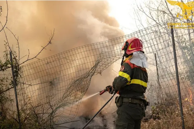 L'intervento della forestale a Sorso