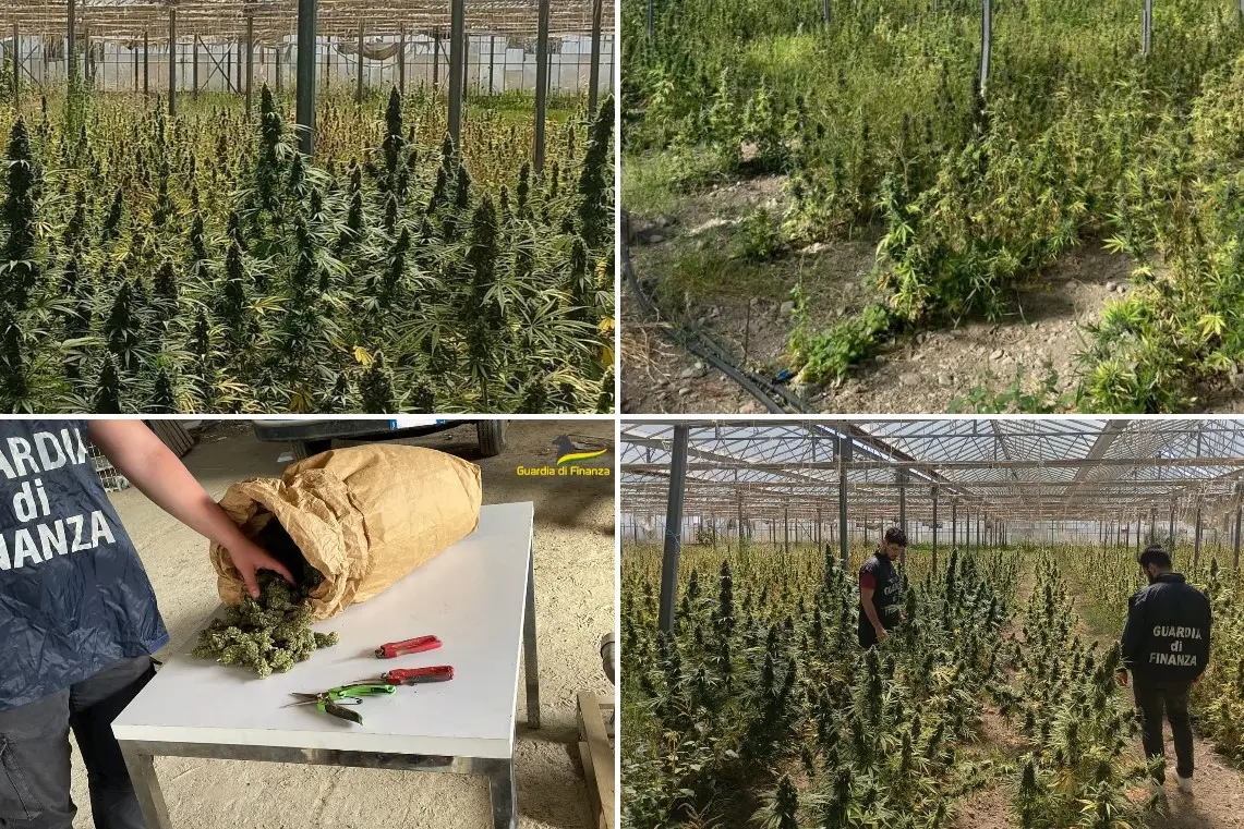 La serra di marijuana a San Giovanni Suergiu
