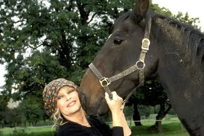 #AccaddeOggi: 28 settembre, Brigitte Bardot compie 85 anni