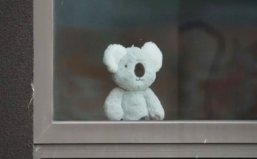 Un koala