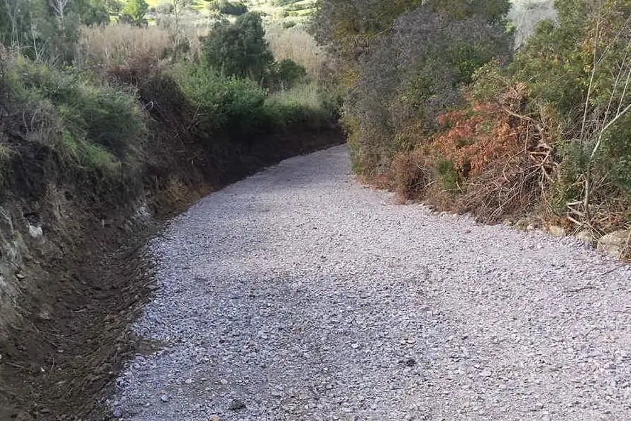 Una strada nell'area montana di Villaurbana (foto L'Unione Sarda - Pala)