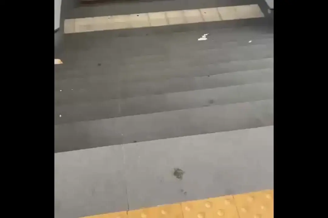 Oristano, ennesimo raid vandalico nel Centro intermodale