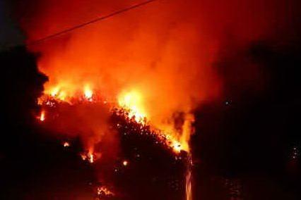 In Bolivia gli incendi distruggono 470mila ettari di foreste