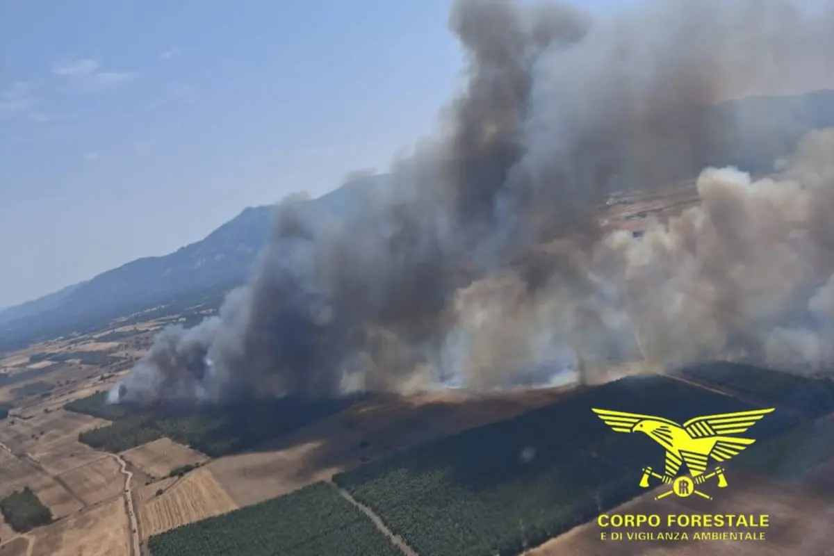 L'incendio a San Gavino (foto Corpo Forestale)