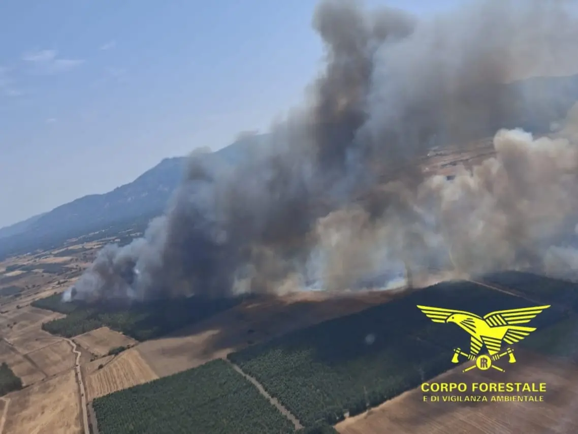 Brände wüten auf Sardinien: Flammen in Escalaplano, Cabras, Uras und San Gavino L'incendio a San Gavino (foto Corpo Forestale)