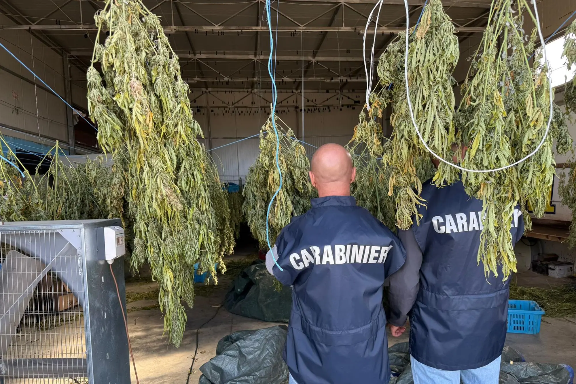 La perquisizione dei carabinieri